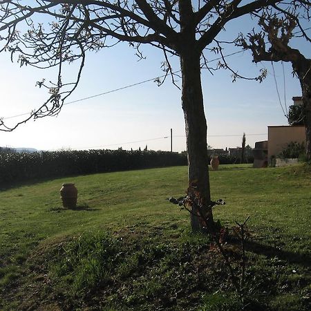 Agriturismo Le Caselle Cerbaia Rum bild