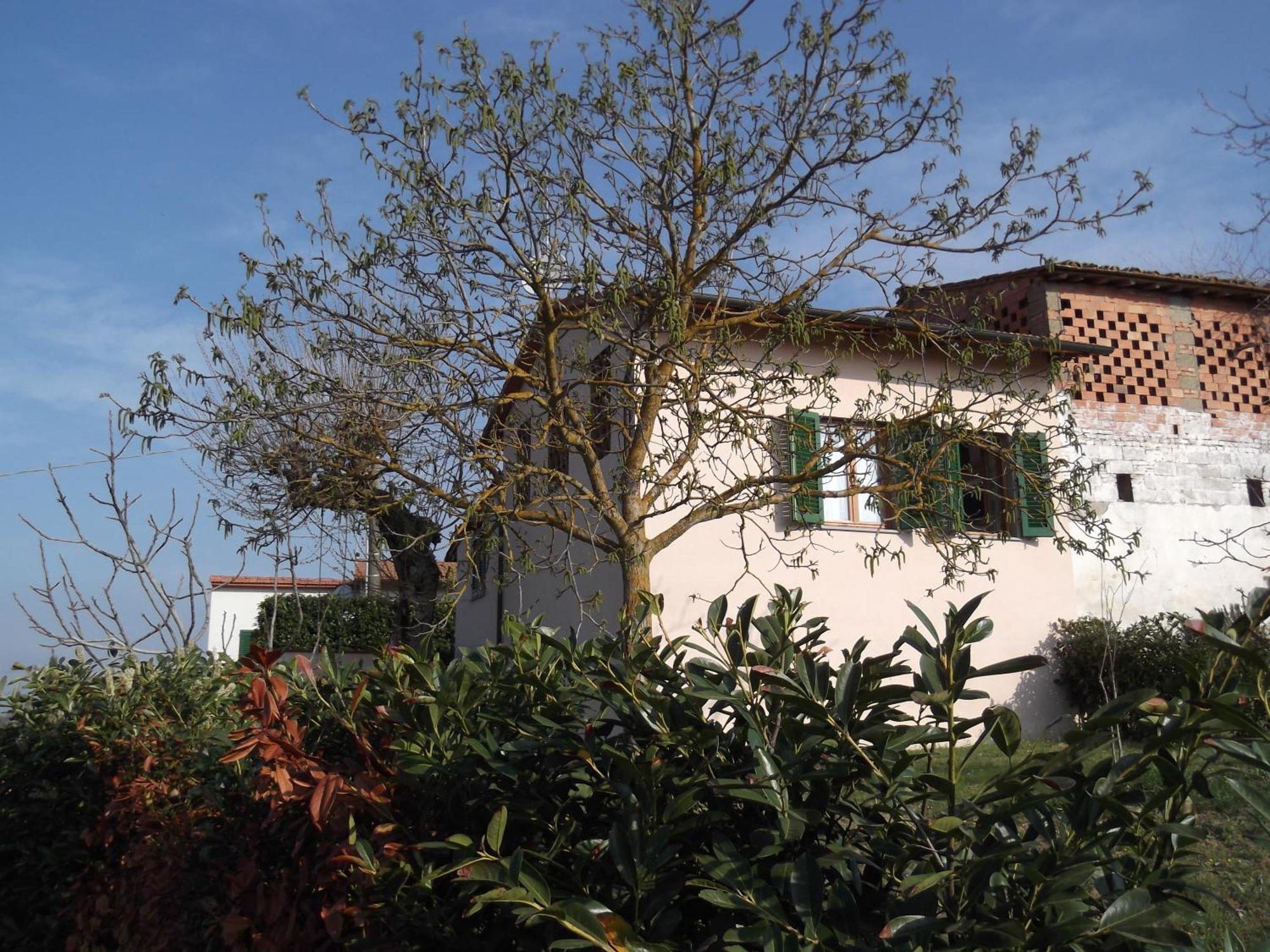 Agriturismo Le Caselle Cerbaia Rum bild