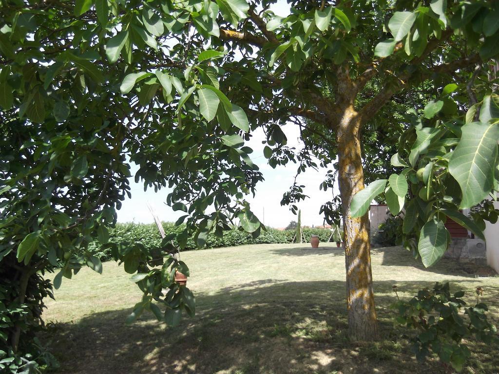 Agriturismo Le Caselle Cerbaia Rum bild